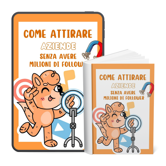 BONUS #2 - Come attirare Aziende senza avere milioni di Follower
